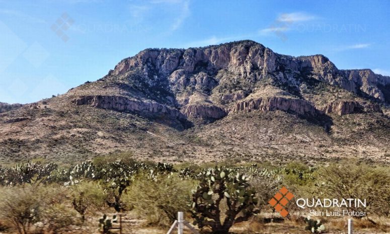 Reforestará gobierno Sierra de San Miguelito con 1 millón de árboles