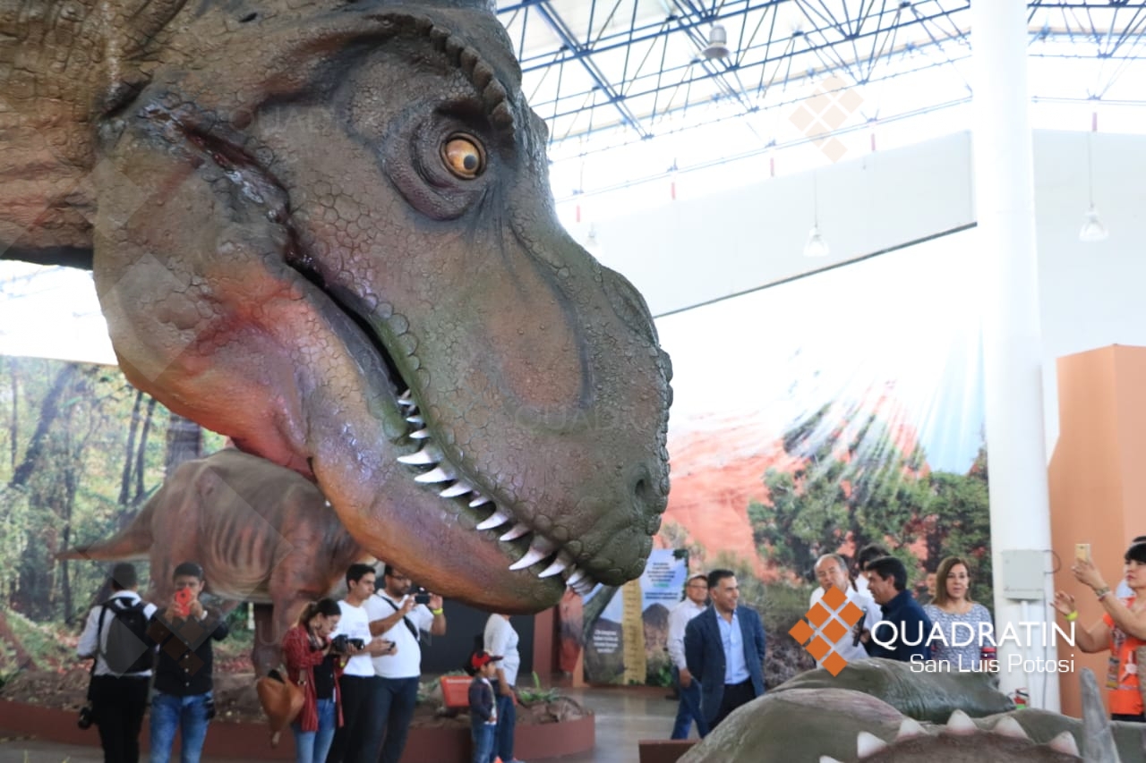 Llegó a la Fenapo exposición de dinosaurios - Noticias de San Luis Potosí
