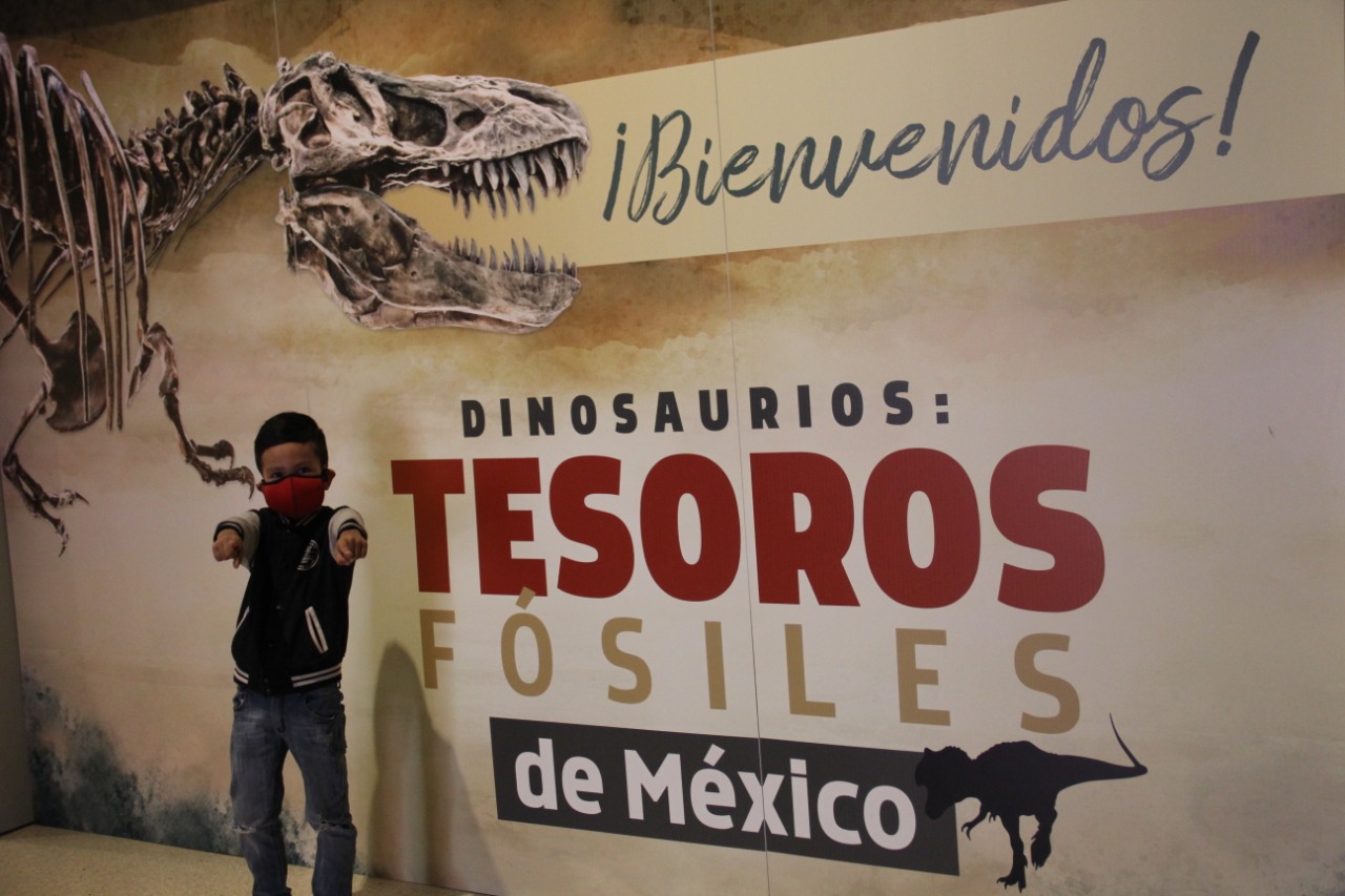 Dinosaurios en San Luis: tesoros fósiles de México - Noticias de San Luis  Potosí