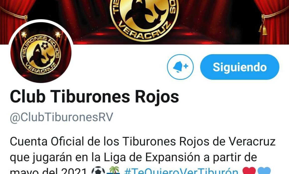 Preparan el regreso del Tiburón al futbol mexicano - Noticias de San Luis  Potosí