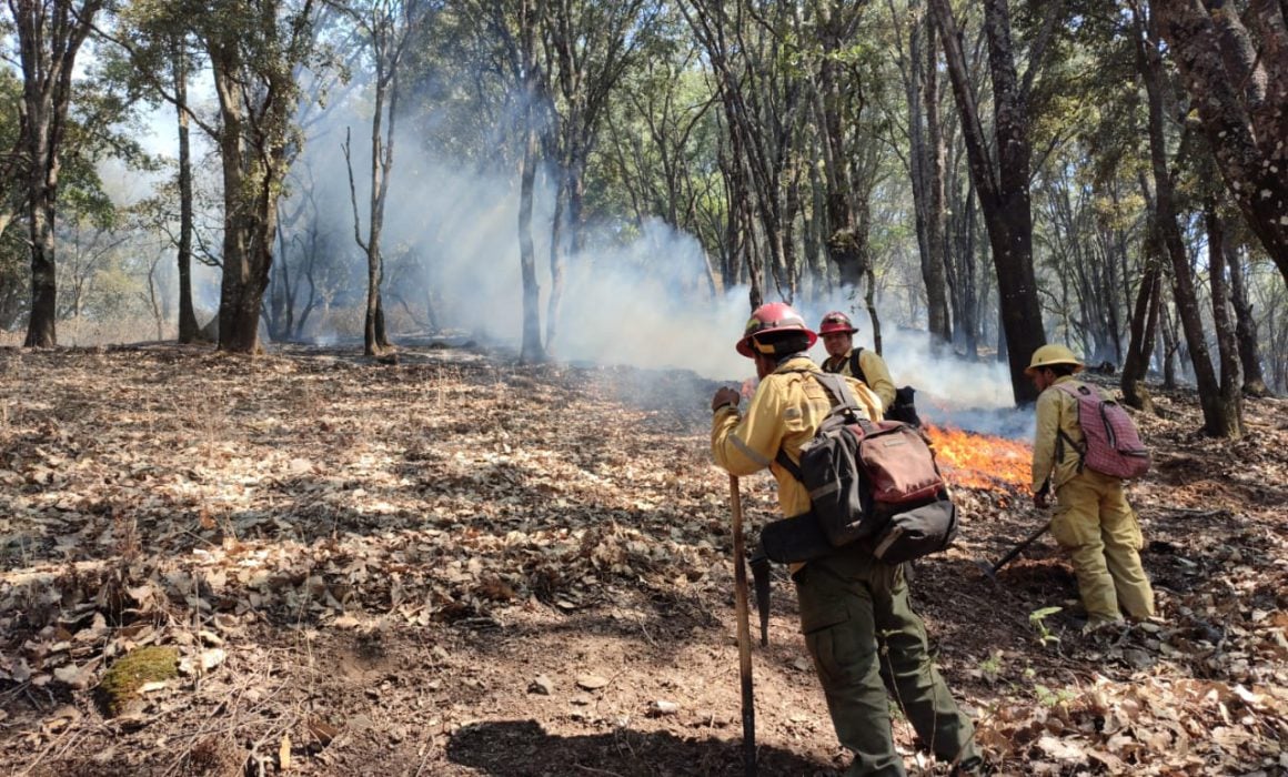 Incendio en el Cerro Viejo queda extinto; trabajan en el de Jocotepec ...