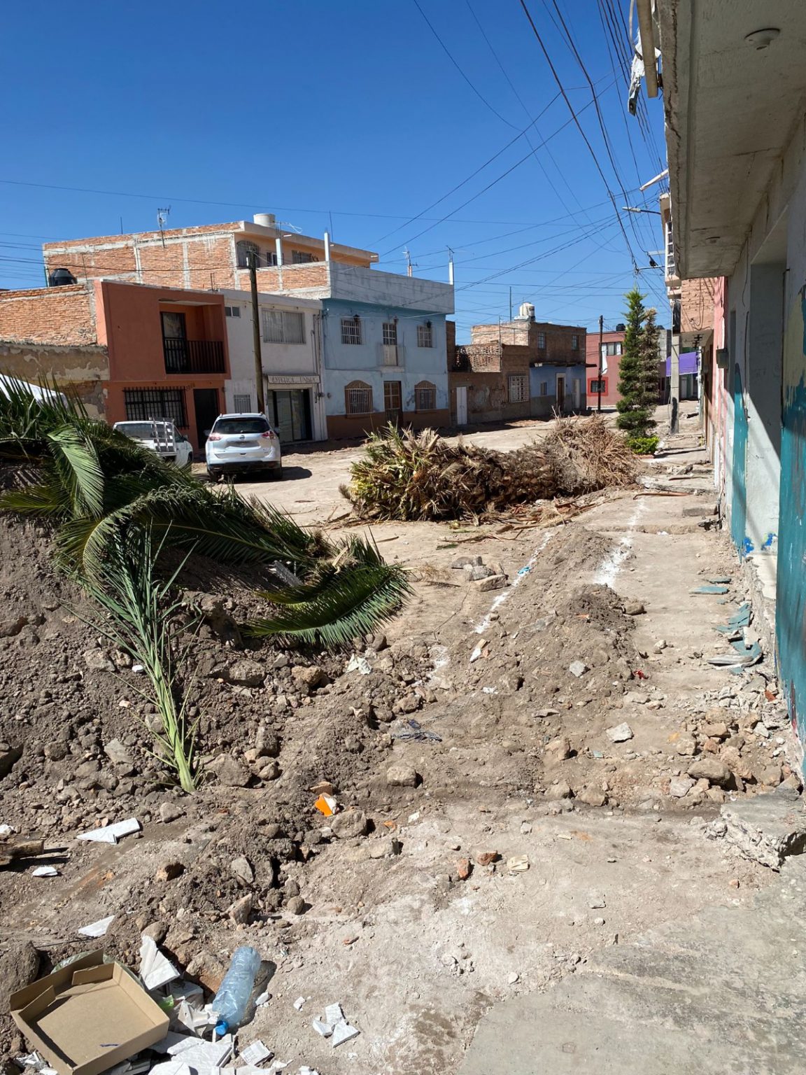 Denuncian ecocidio en obras del tradicional barrio San Miguelito, SLP ...