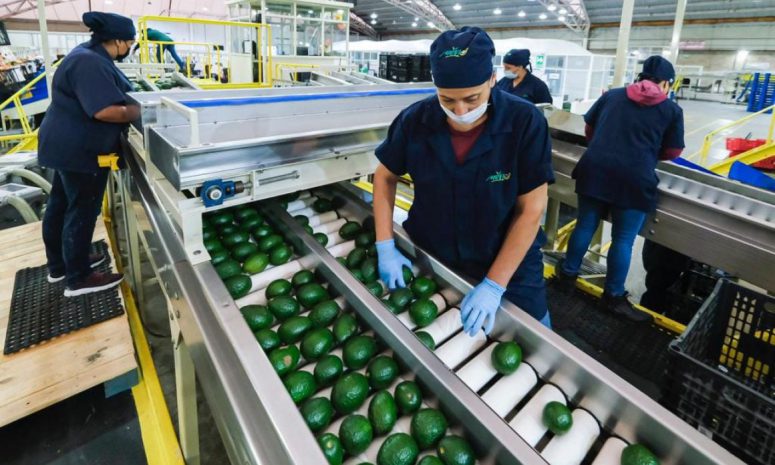 Reconoce Torres Sánchez beneficios del nuevo modelo laboral de 40 horas