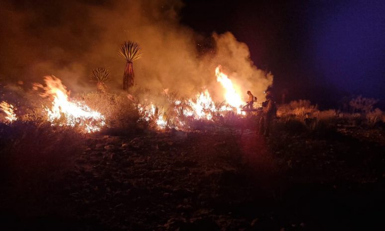 Incendios forestales en SLP alcanzan las 665 hectáreas afectadas