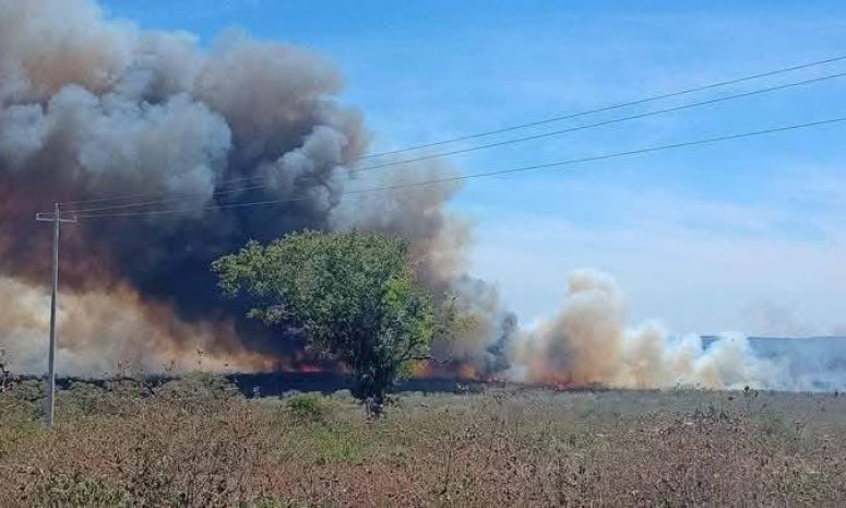 Avivan vientos 10 incendios en Ciudad Valles
