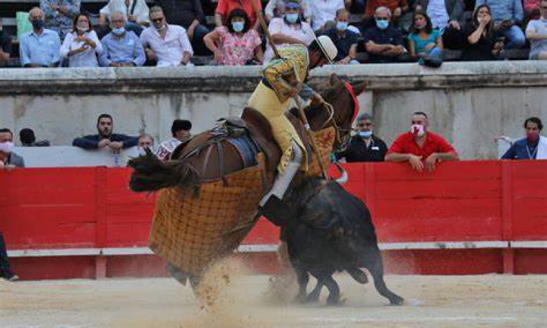 Respetará Ejecutivo decisiones del Congreso sobre tauromaquia y Ley Santi