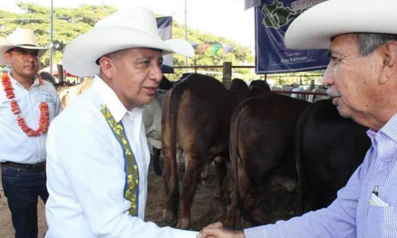Oaxaca, en alerta por posible segundo caso de gusano barrenador
