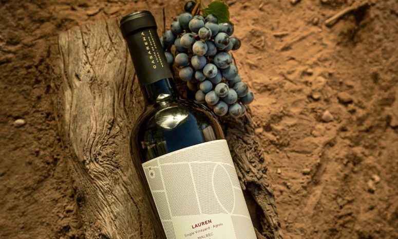Alista SLP Festival Internacional del Vino 2025; Argentina país invitado
