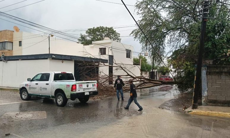 Suspenden clases en 15 municipios de SLP por lluvias del huracán Erick