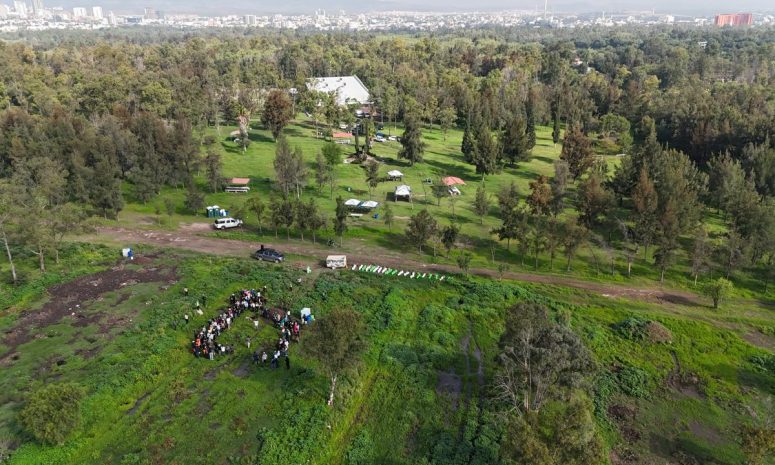 Reforestan con más de 600 árboles el Parque Tangamanga I