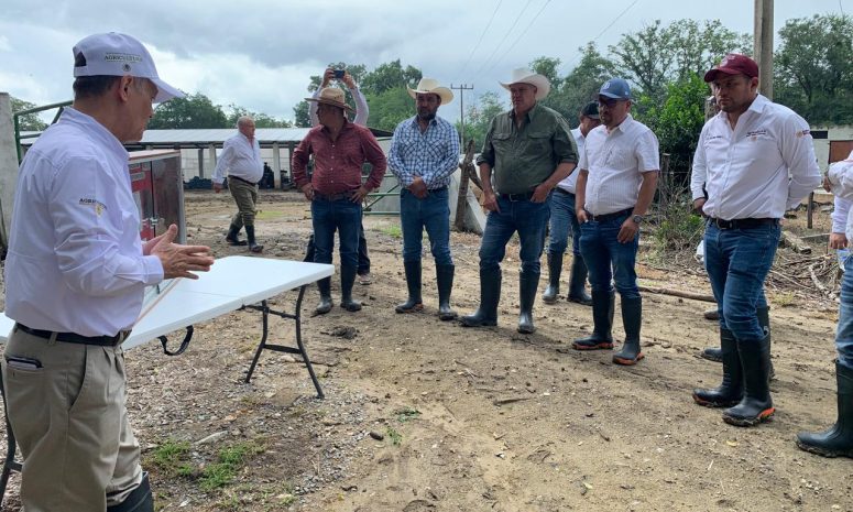 Fortalecen producción cañera en la Huasteca con inversión tecnológica