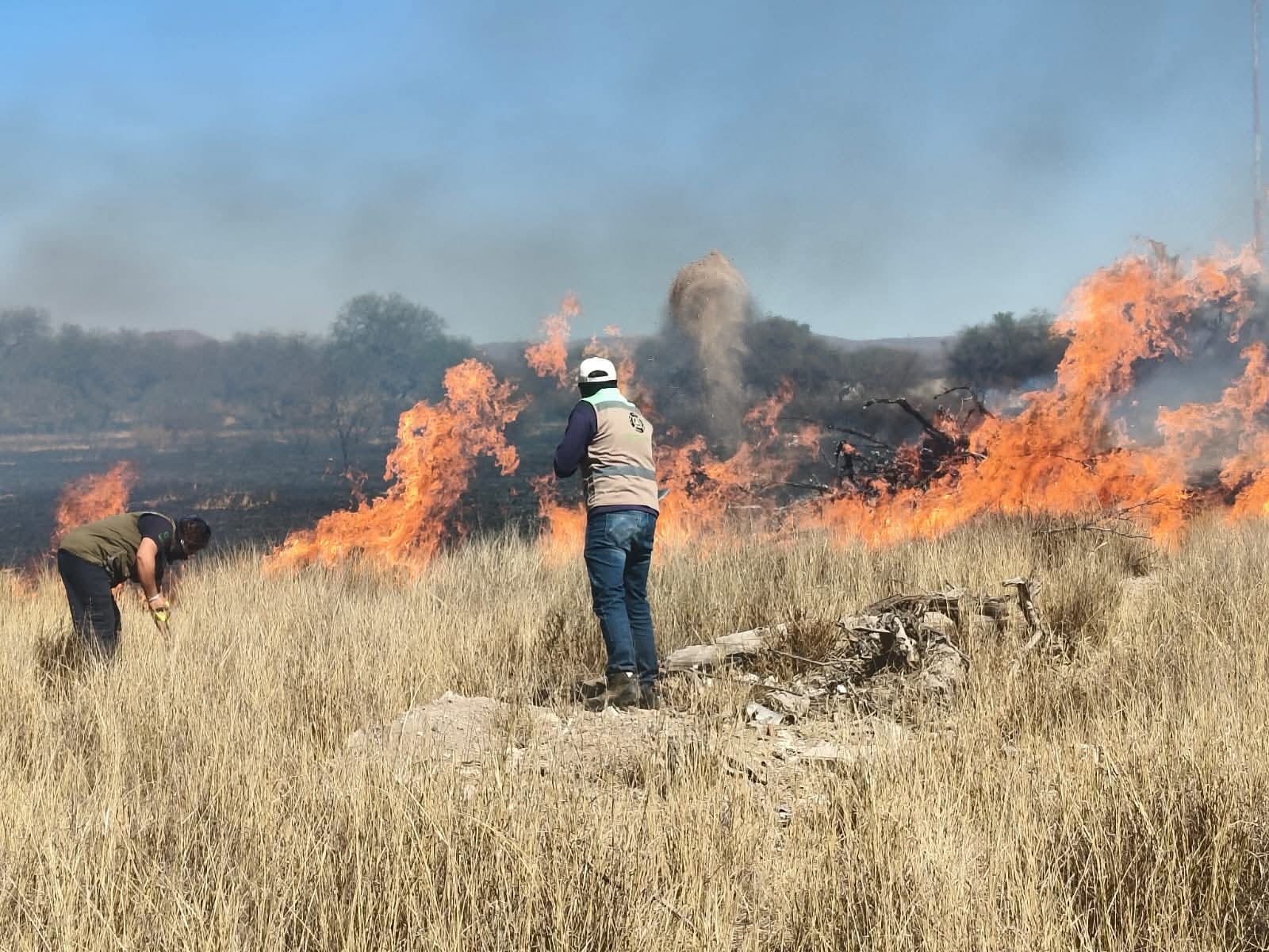 Hasta 15 años de cárcel por incendios provocados en SLP - Noticias de ...