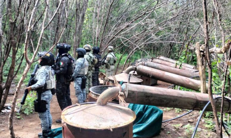 Desmantelan otros 4 narcolaboratorios en Guerrero y Michoacán