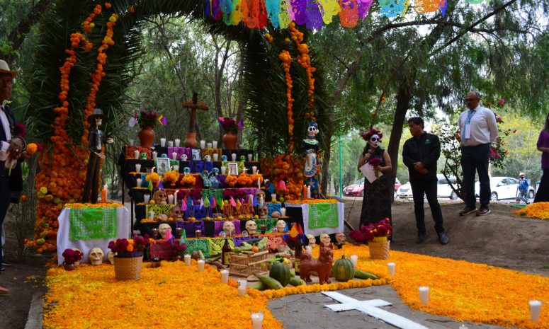 Participarán 23 dependencias en concurso de altares de Día de Muertos