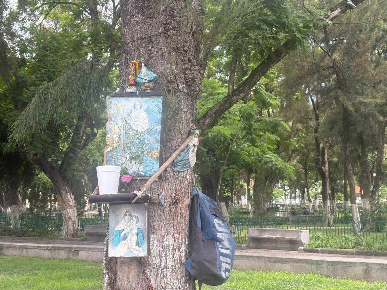 image 4