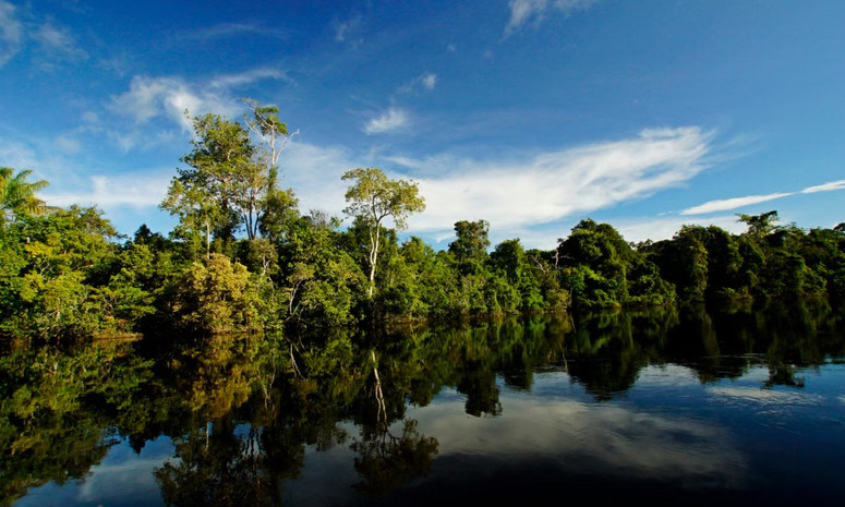 Amazonía colombiana: familias producen alimentos y cuidan bosques